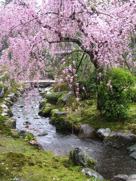 OIYA SEBELUM AKU KELUARIN LINK PO

HOW WINDBRE LINE 1 SMELLS LIKE

First Sakura, fresh, sweet, flowery, watery soapy. Such an airy perfume very active just like the tsun cat Sakumeng!!!
