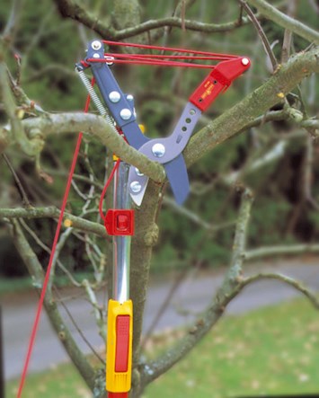 JohnMiller_GM's tweet image. Wolf Garten hand tools are now available to buy online 🥳
Link in Bio

#gardentools #fruitcatcher #loppers #wolfgarten #GardenMachinerysale #JohnMillerLtd #JohnMillerCorshamLtd #ChippenhamBusiness #GardeningIsFun #GardenGoals #GardeningHelp #GardeningGoals  #GardeningExperts