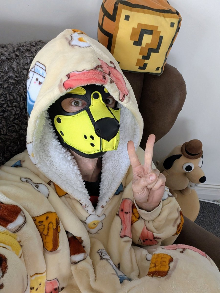 Pup Zach tweet media