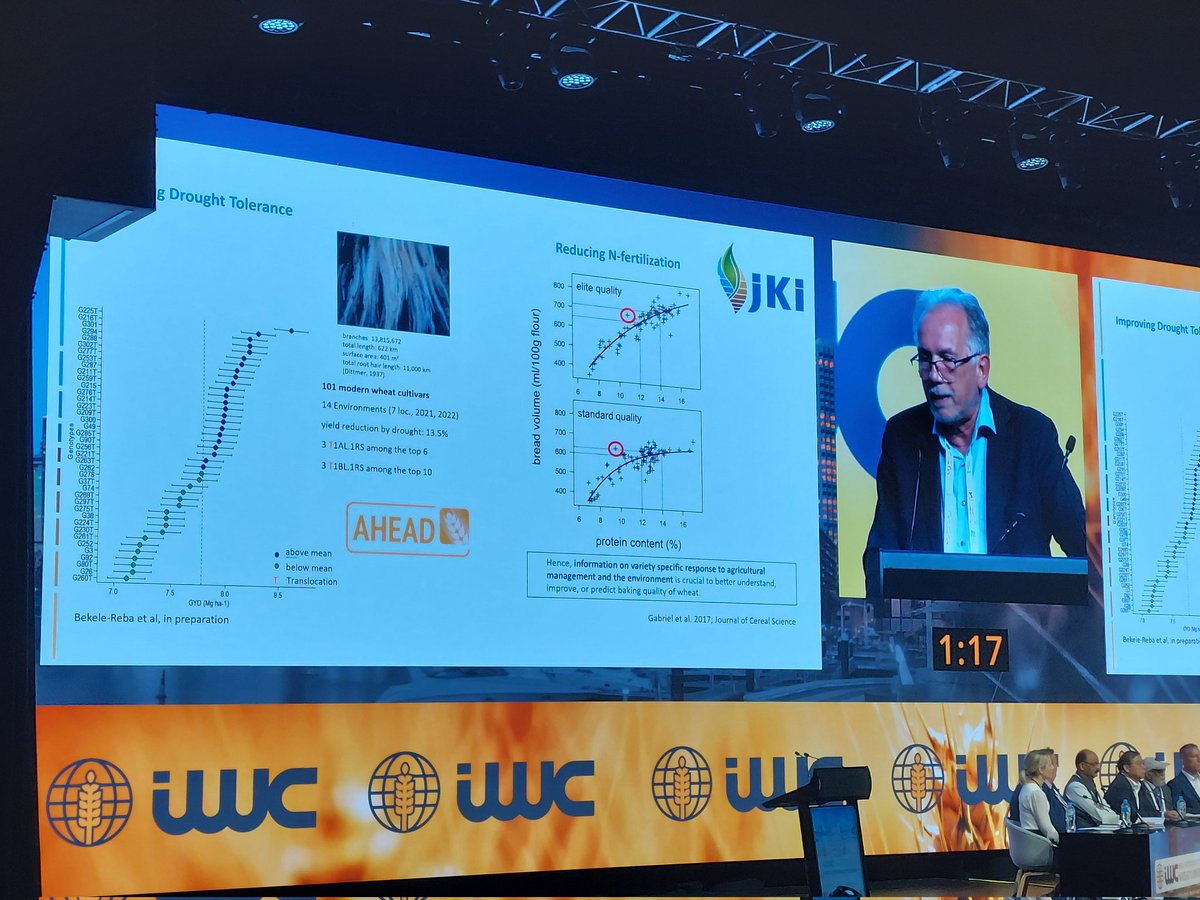 AHEAD (@ahead_wheat) on Twitter photo Nice introduction of wheat production and r&d work on different continents. <a href="/JKI_Bund/">Julius Kühn-Institut</a> president Frank Ordon nicely presentef data and projects from Europe.
<a href="/RYE_SUS/">PRoKlima</a> <a href="/WheatInitiative/">Wheat Initiative</a> Nice introduction of wheat production and r&d work on different continents. <a href="/JKI_Bund/">Julius Kühn-Institut</a> president Frank Ordon nicely presentef data and projects from Europe.
<a href="/RYE_SUS/">PRoKlima</a> <a href="/WheatInitiative/">Wheat Initiative</a>