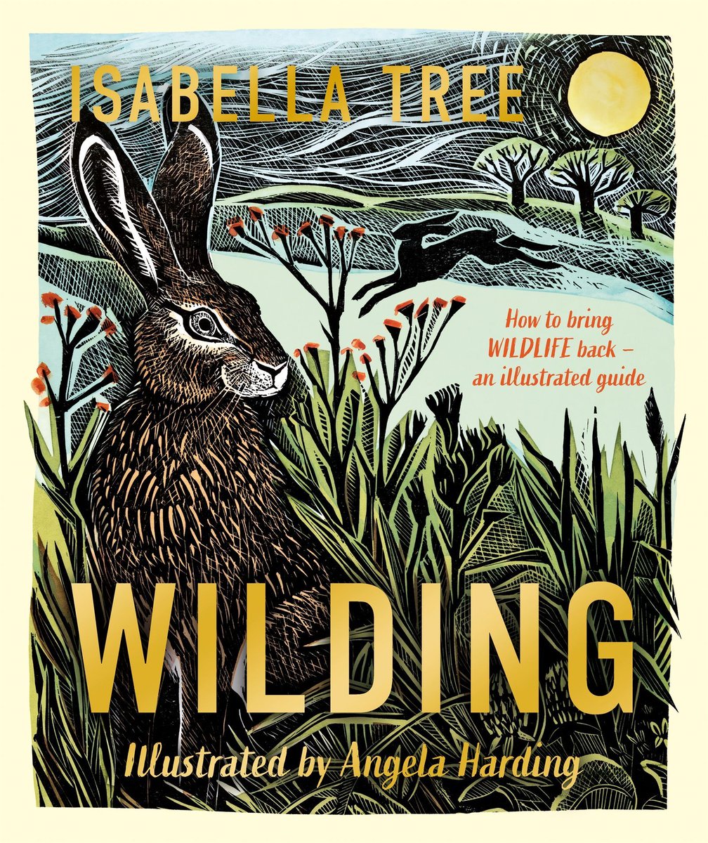 Pan Macmillan tweet media
