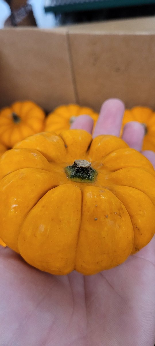 Molly's Pantry tweet media