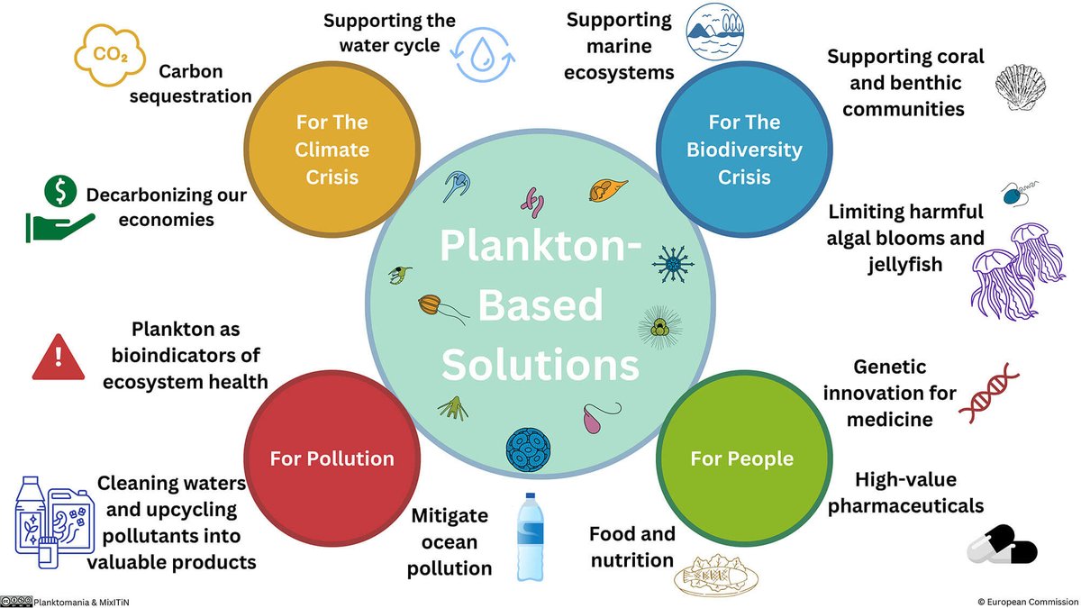 #Plymouth scientists, including our Prof. Kevin Flynn, contribute to groundbreaking #PlanktonManifesto, highlighting the essential function of plankton within marine ecosystems. Read more at: pml.ac.uk/news/pml-scien…