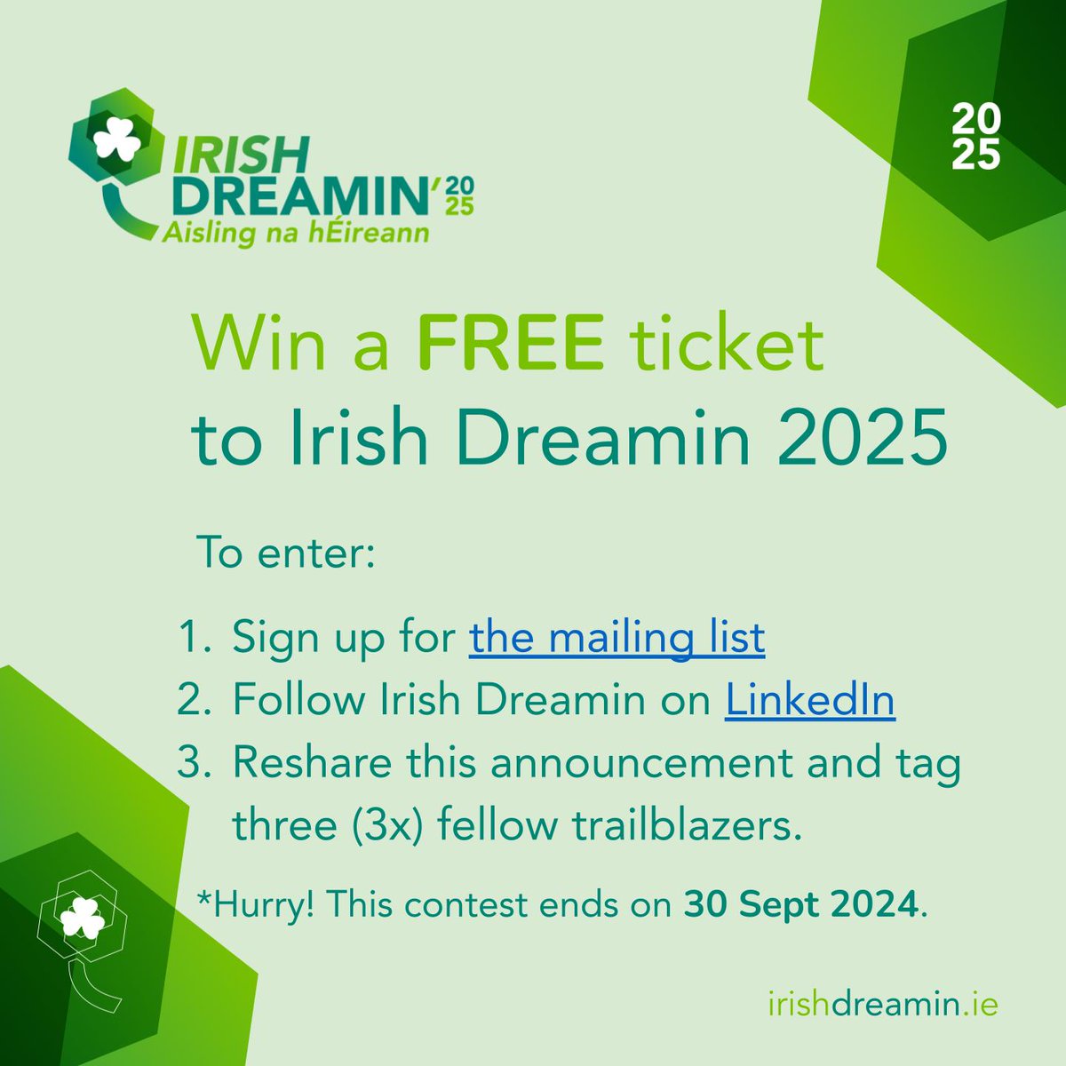 Irish Dreamin tweet media