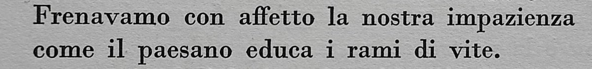 Tommaso Negri tweet media