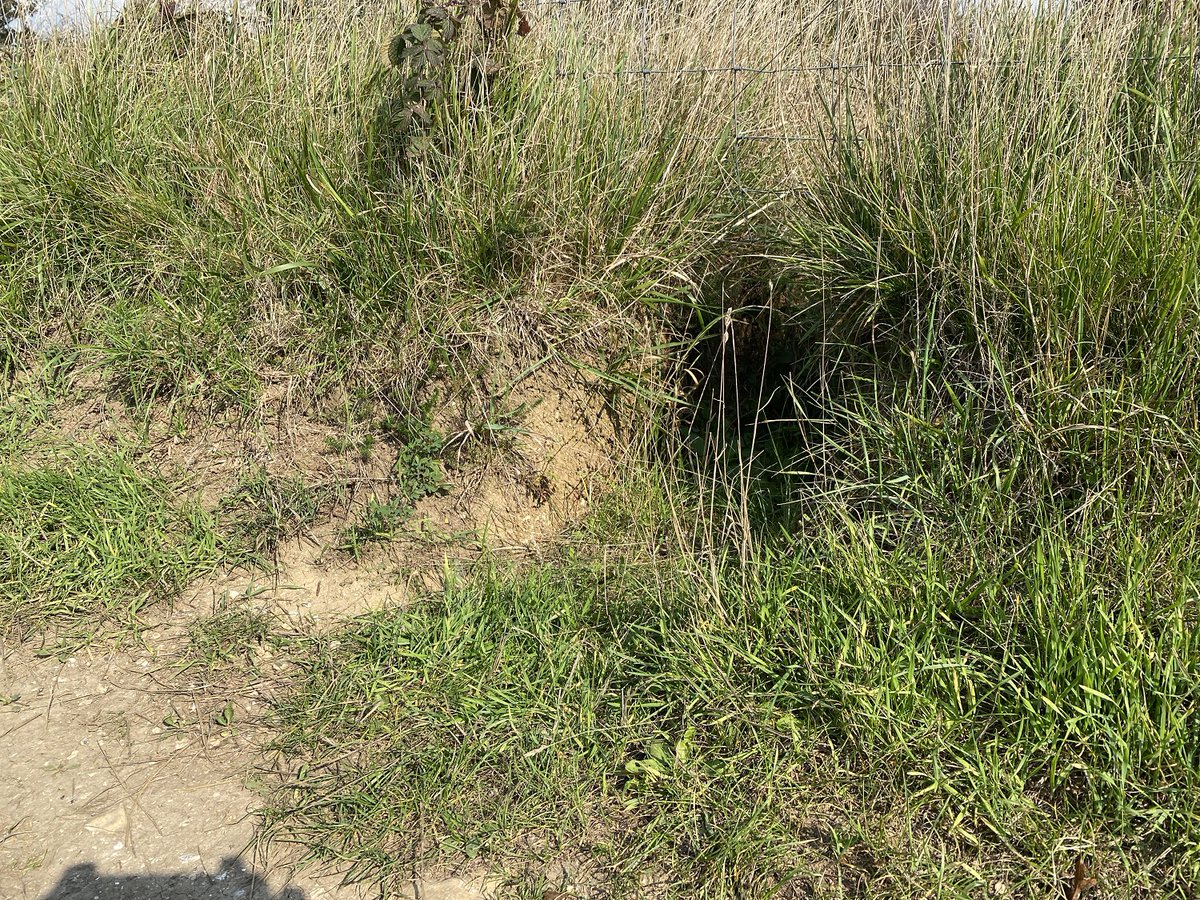 Bob Eade tweet media