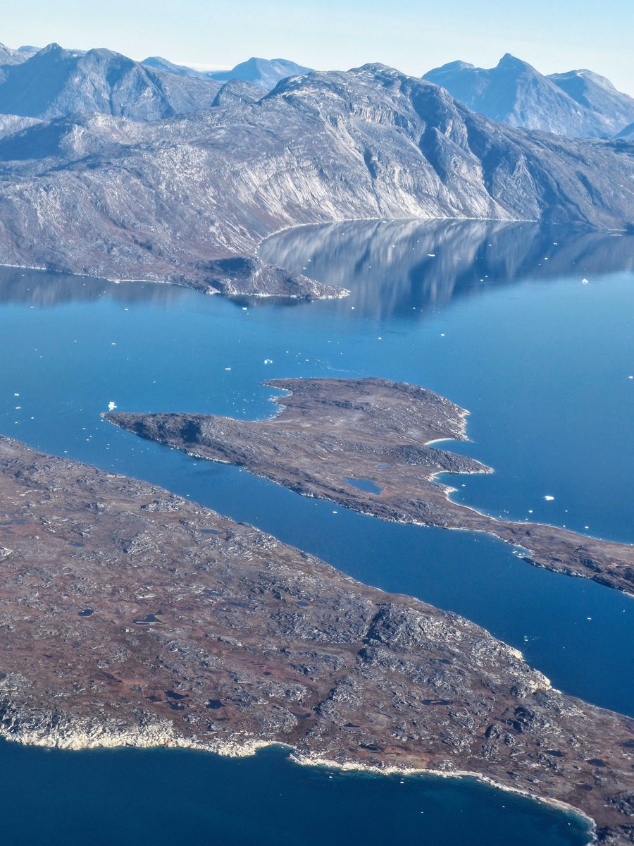 Harri Kämäräinen tweet media