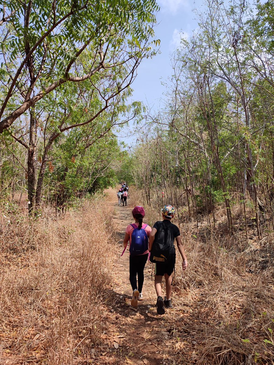 useptampon's tweet photo. Mercredi 18 septembre, à l'occasion de la JNSS, les associations USEP du Sud de la Réunion ont réalisé une rando écolo dans la forêt de l'Etang-Salé. Les enfants ont répondu à des questions de Développement Durable en utilisant le thermoplanète USEP. https://t.co/9vzCoRJmWT