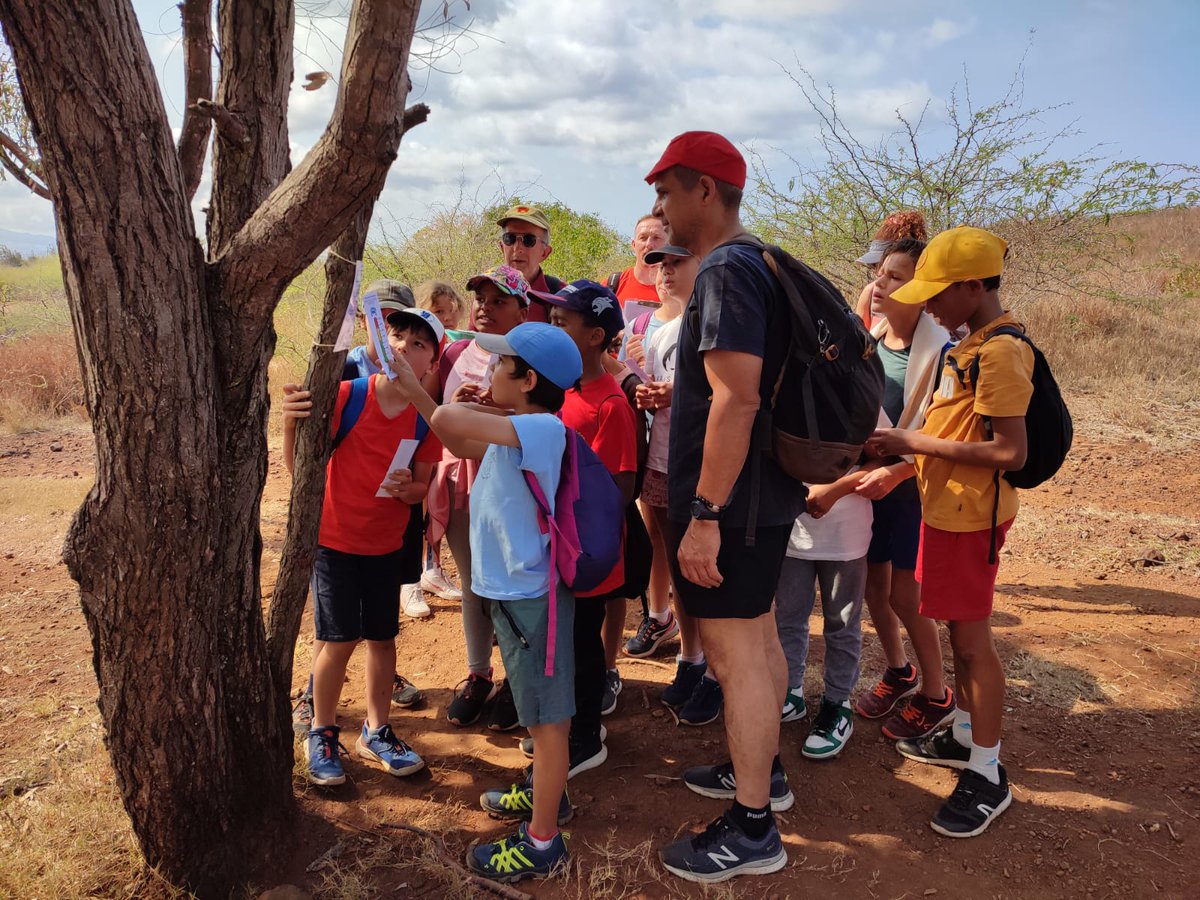 useptampon's tweet photo. Mercredi 18 septembre, à l'occasion de la JNSS, les associations USEP du Sud de la Réunion ont réalisé une rando écolo dans la forêt de l'Etang-Salé. Les enfants ont répondu à des questions de Développement Durable en utilisant le thermoplanète USEP. https://t.co/9vzCoRJmWT