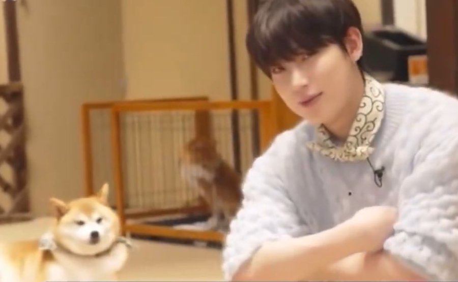 kmelpis's tweet photo. sunoo the living meme https://t.co/NQDhAZpypv