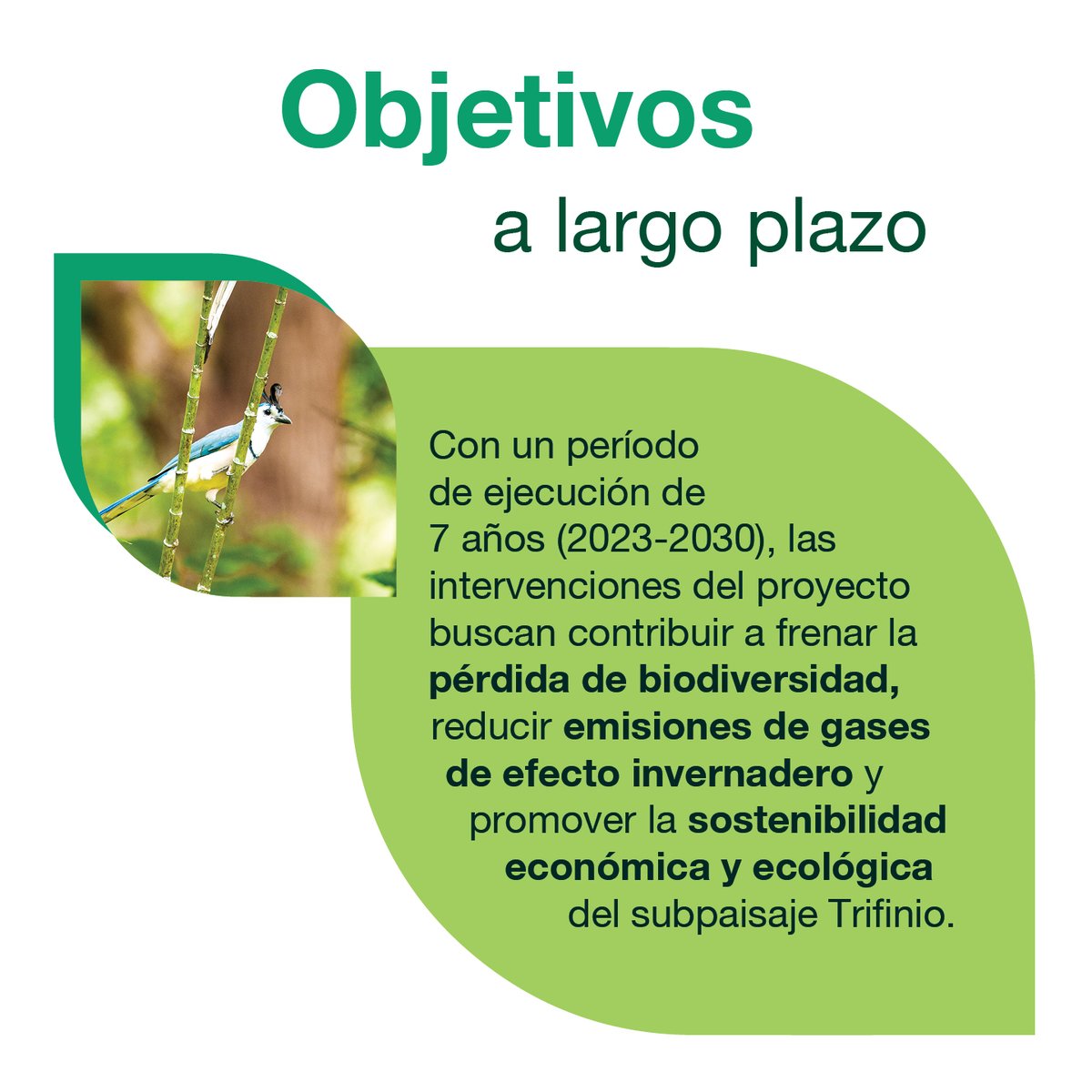 🌿🌳👀 ¿Conoces el Proyecto Paisajes Resilientes y Biodiversos del Norte de Mesoamérica? En el subpaisaje de Trifinio esta iniciativa del Fondo de Paisajes Biodiversos🇬🇧, busca proteger y restaurar la biodiversidad y mitigar el cambio climático.🌱💧
<a href="/WCS_Mesoamerica/">WCS Mesoamérica y el Caribe</a>