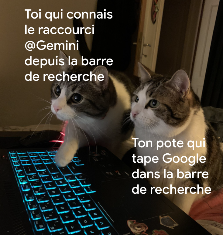Google FR tweet media