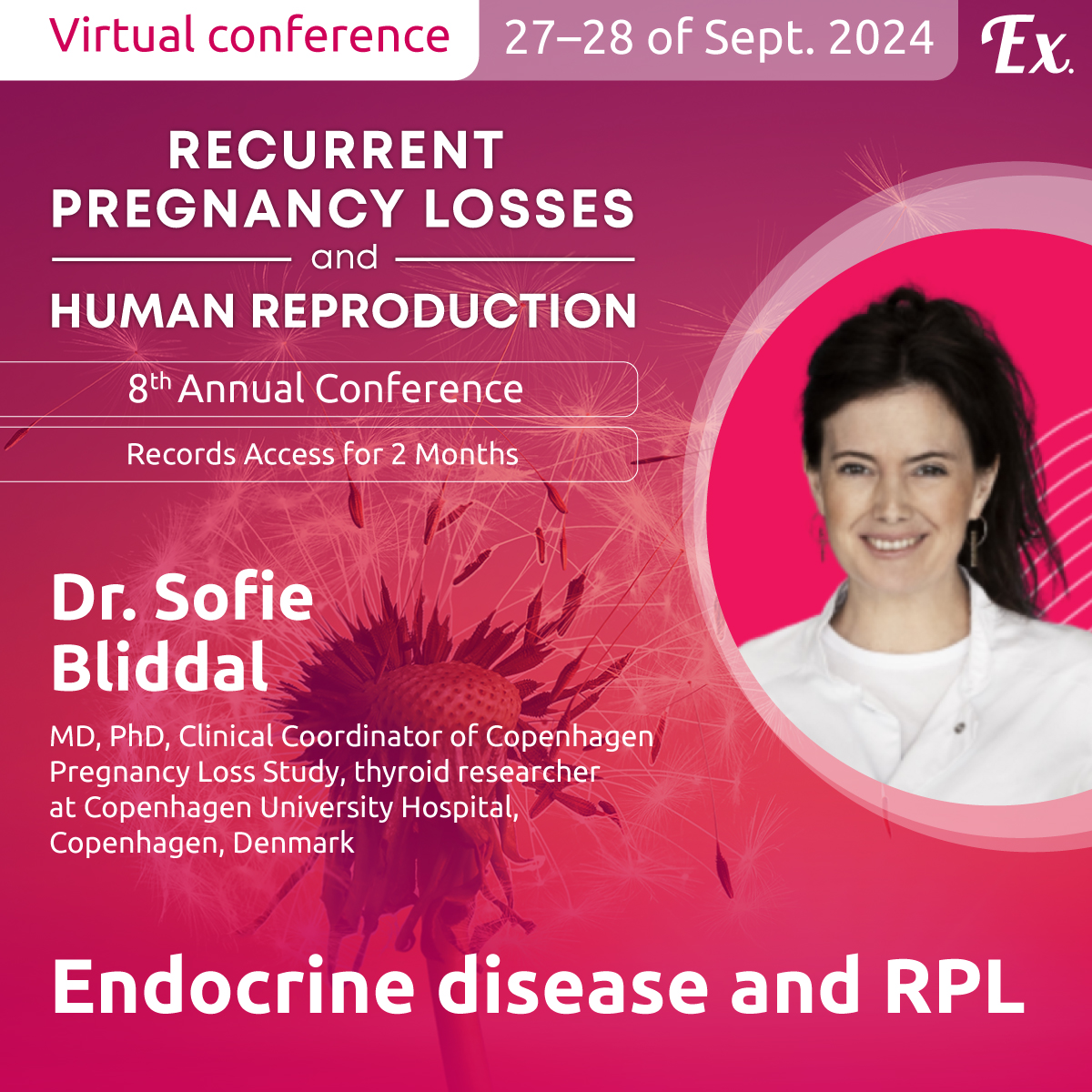 EXTEMPORE tweet media