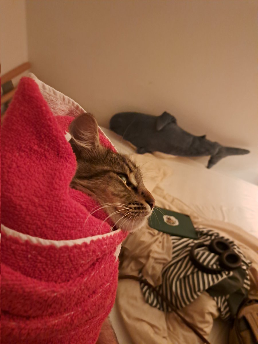 skipperatio's tweet image. Going to Belgium next week I'm hyped but low-key need to finish around 50 comms b4 that 😭