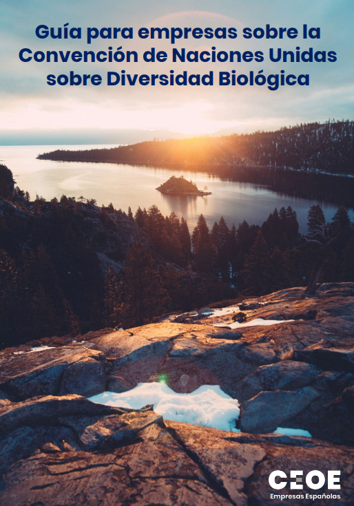 CEOE_ES's tweet photo. 🫒¡Gran paso para España en #biodiversidad! 🎊CEOE ha sido acreditado como observador de @UNBiodiversity y asistirá a #COP16 en Cali🌍

🌿 Las #empresas juegan un rol clave en la protección ambiental #DiversidadBiológica #Sostenibilidad

Info➡https://t.co/uIZKsHnz7W https://t.co/uiRON1ozjT