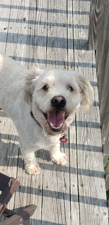 misstuesdayk's tweet photo. @KyleGallner Ted approves of this message! https://t.co/Zjgaowf2Ae