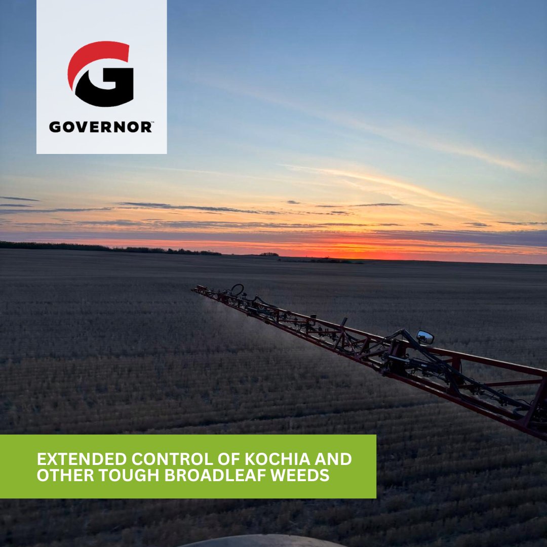 coopagro_crs's tweet photo. Gain control of kochia and other tough broadleaf weeds this fall before they become a problem next spring with Governor, our new Co-op Private Label Pre-Seed Herbicide! 

Governor requires moisture to activate. Applying in the fall allows the herbicide to move into the soil with snow melt or early spring rain, making it available for uptake by weeds just as they begin to emerge in spring. 

Discover if Governor Pre-Seed Herbicide is a good fit for your weed management strategy: https://t.co/pmbB4kyw14 and see your local Co-op Agro Centre for more detailed recommendations.

#CoopAgro #Agriculture #FallSpraying #FallApplication #Harvest24 #WeedManagement #Agronomy