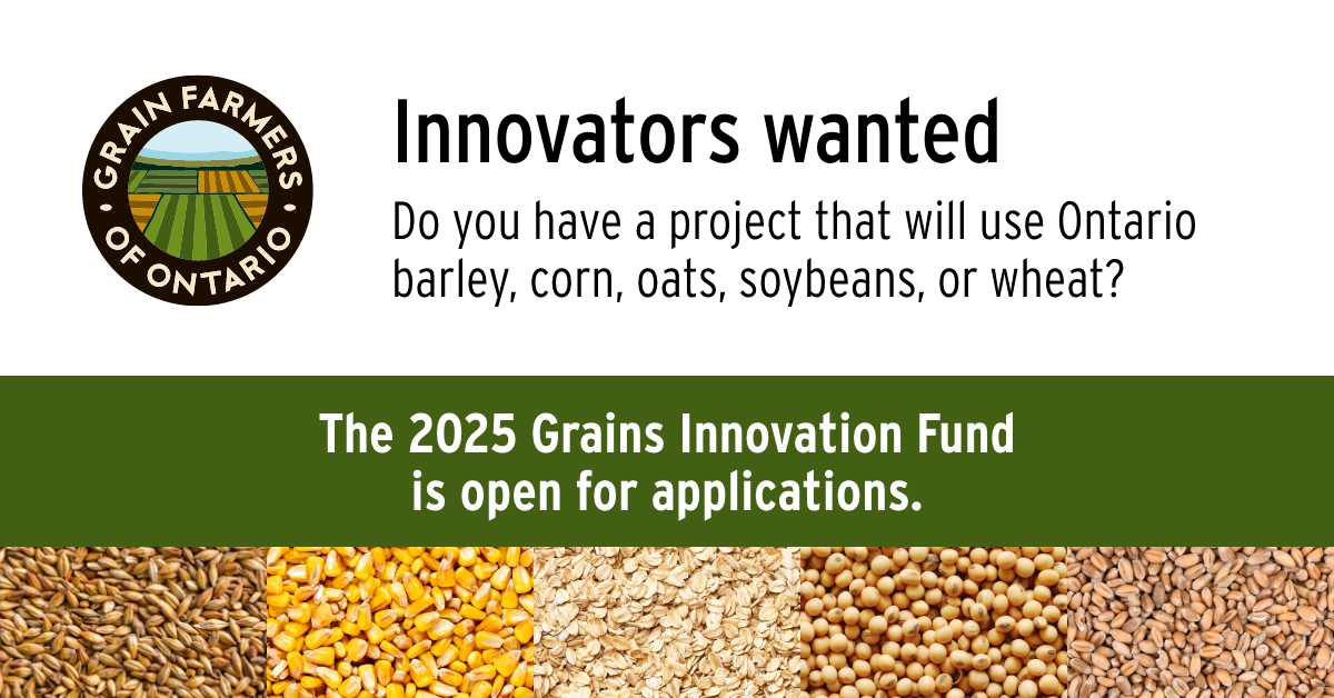Developing new or reformulated products and processes that use Ontario barley, corn, oats, soybeans, or wheat? The <a href="/GrainFarmers/">Grain Farmers of Ontario</a> Grains Innovation Fund is open and seeking projects. Learn more and apply before November 1: gfo.ca/grains-innovat…