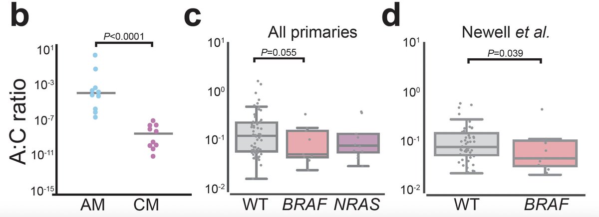 And when we tested this hypothesis comparing the transcriptional program between NRAS, BRAF and NRAS/BRAF-WT tumours, indeed we see that BRAF-mutated tumours have a more 'cutaneous-like' (as opposed to 'volar-like' (i.e. acral skin)) program! We also see this in other data (8/12)