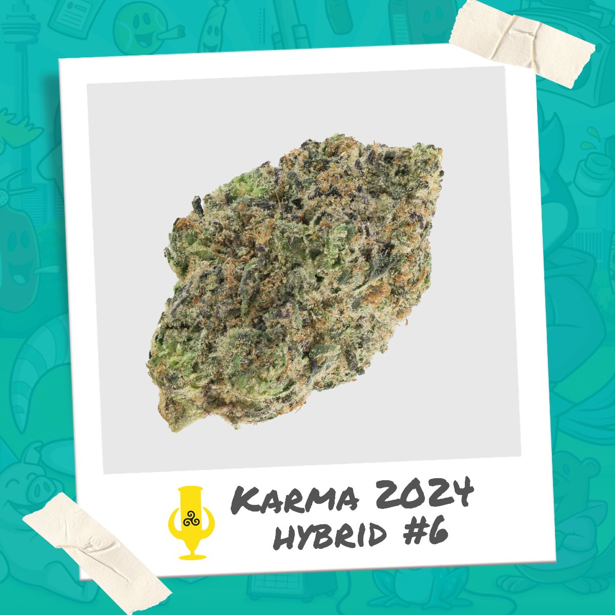 Presenting Hybrid 6 from the 2024 Karma Cup.