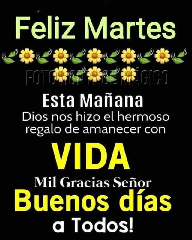 Luz Bella  (@roza_negra99) on Twitter photo 