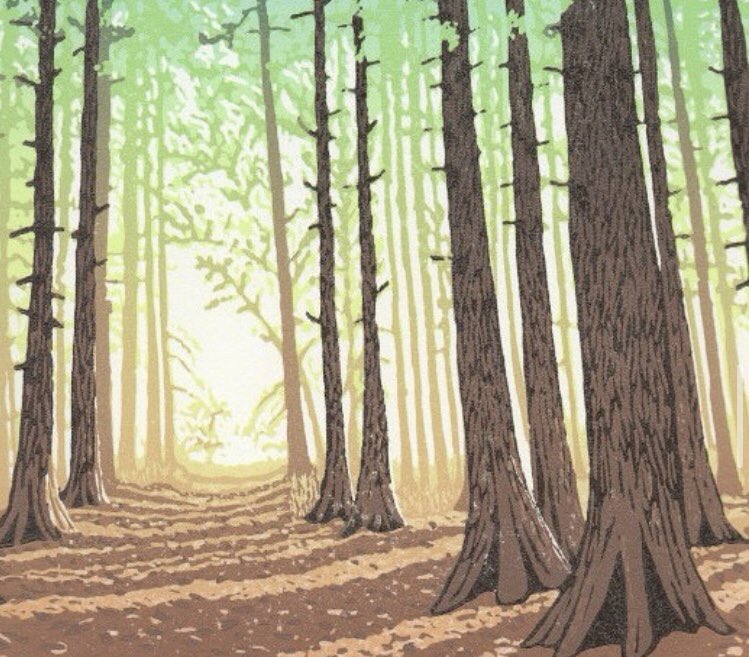 Gill Thornton is exhibiting at The Bell Gallery in Bungay with fellow Breckland Artist Penny Lindop until 28 September.