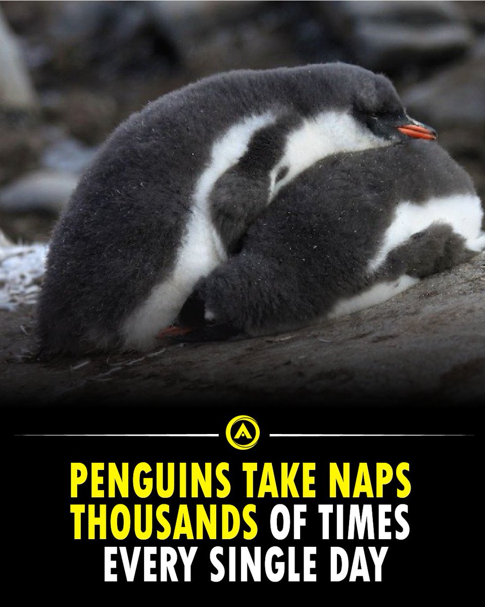 Advancible (@xadvancible) on Twitter photo 