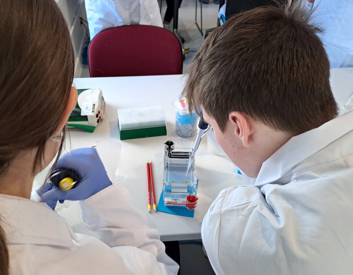 It was lovely to visit Dingwall Newton Room this month to run molecular biology and bioinformatics workshops with local senior biology pupils.