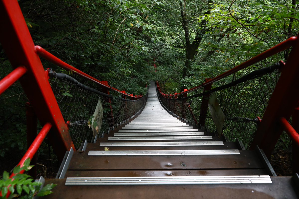 httpwildjupiter's tweet image. この前テレビでやっていて行ってみたいと思う場所に行って来た　
車がすれ違えないような山道を抜けて
群馬県みどり市のけさかけ橋と橋から見える小中大滝　ついでに草木ダムにも寄り道
この吊り橋は前に立つと思わず足がすくむ程の傾斜　滑り台よりキツイかも