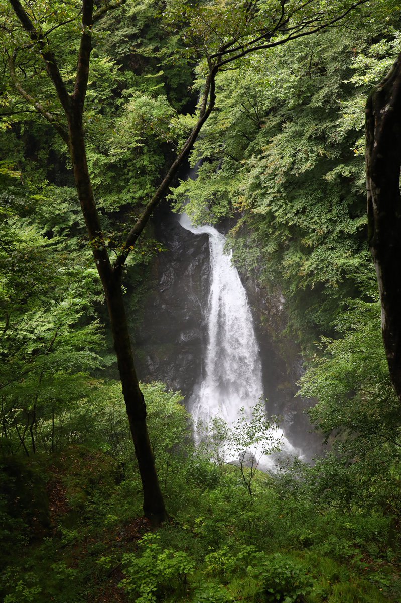 httpwildjupiter's tweet image. この前テレビでやっていて行ってみたいと思う場所に行って来た　
車がすれ違えないような山道を抜けて
群馬県みどり市のけさかけ橋と橋から見える小中大滝　ついでに草木ダムにも寄り道
この吊り橋は前に立つと思わず足がすくむ程の傾斜　滑り台よりキツイかも