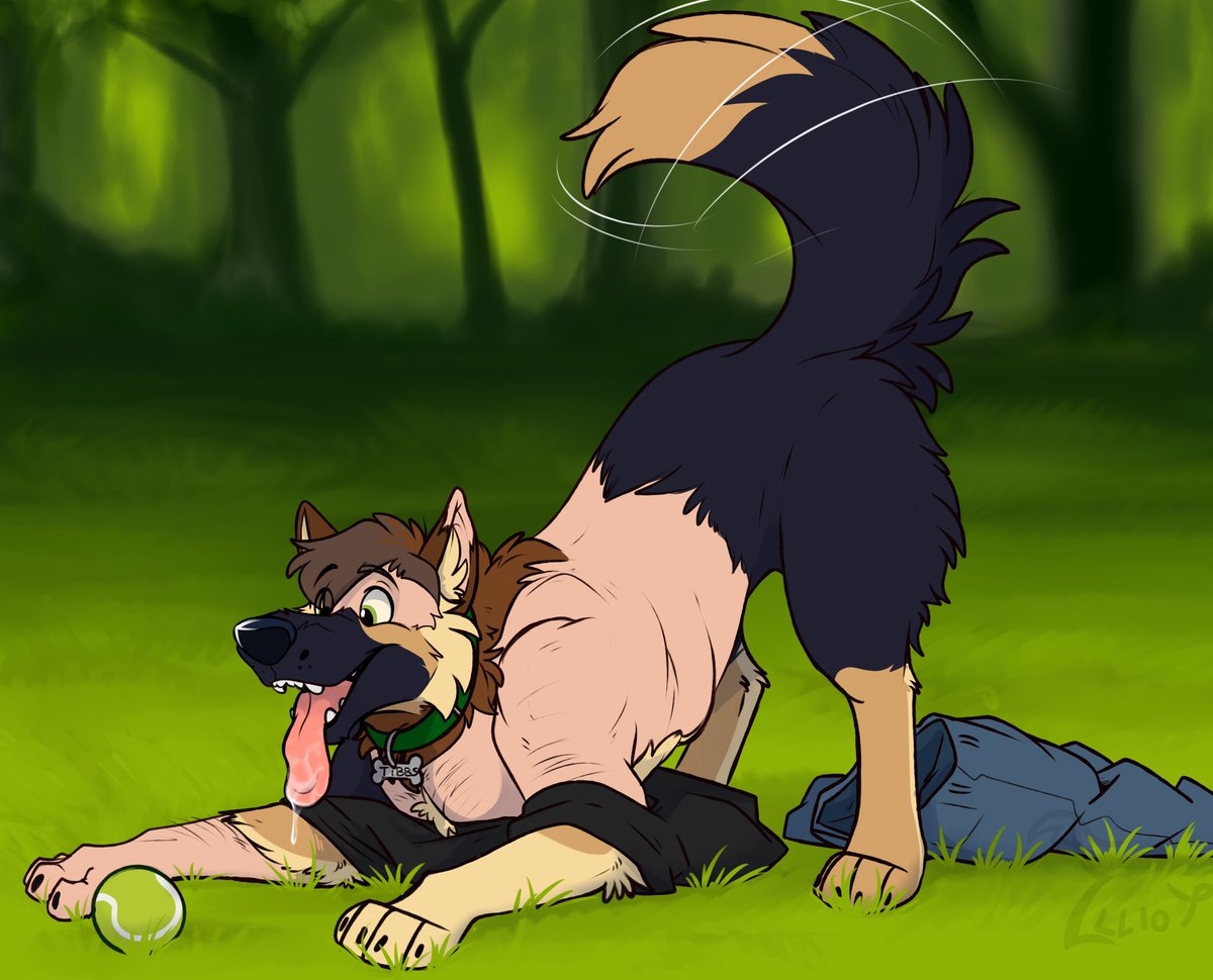 DogTibbs's tweet photo. I think I got it this time! It’s #TFTuesday and it’s SHEPTEMBER so I have to be the goodest Shep for the rest of the month! I can’t wait to play with all the tennis balls and get all the pets! Just wants to make me wag my new sheppy tail!🐶

Older tf art by @Werewolfaboo https://t.co/yHkPyVmBBg