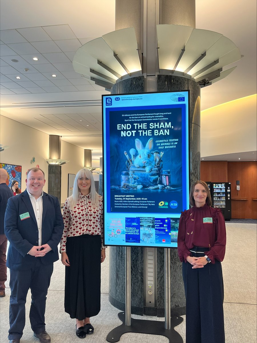 PETAUK's tweet photo. Today in Brussels: We talked about protecting the ban on animal testing for cosmetics at @Europarl_EN. 
Huge THANK YOU to our host @MetzTilly , and to our speakers Donna McMillan from @ICCS_updates and Gavin Maxwell from @Unilever.
 #EndAnimalTesting https://t.co/Z1bV0UjxOm