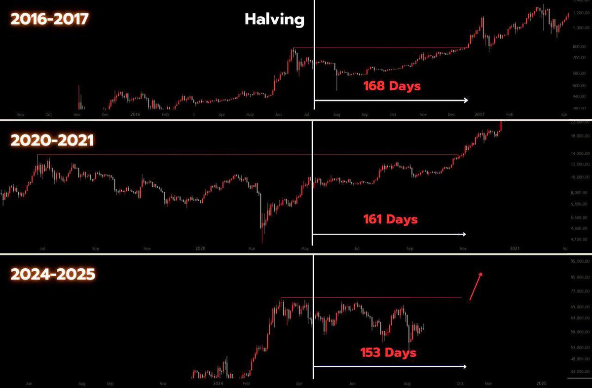 AntCoinTime tweet media