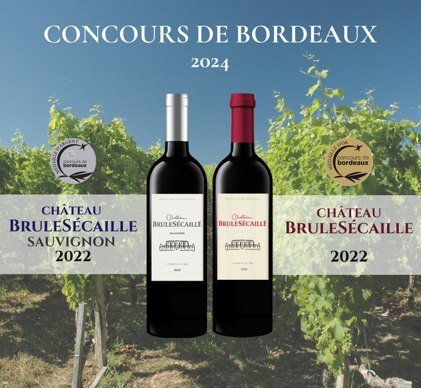 BruleSecaille's tweet photo. Médaille d'Argent :
Château BruleSécaille SAUVIGNON 2022 et
Médaille d'Or Château BruleSécaille 2022.

Concours de Bordeaux 2024
@concoursvinsbdx 

GRAND VIN DE BORDEAUX
AOC Côtes de Bourg

#chateaubrulesecaille #cotesdebourg #bordeaux #bordeauxwine #wine #wein #frenchwine https://t.co/GTyPCQ6TsS