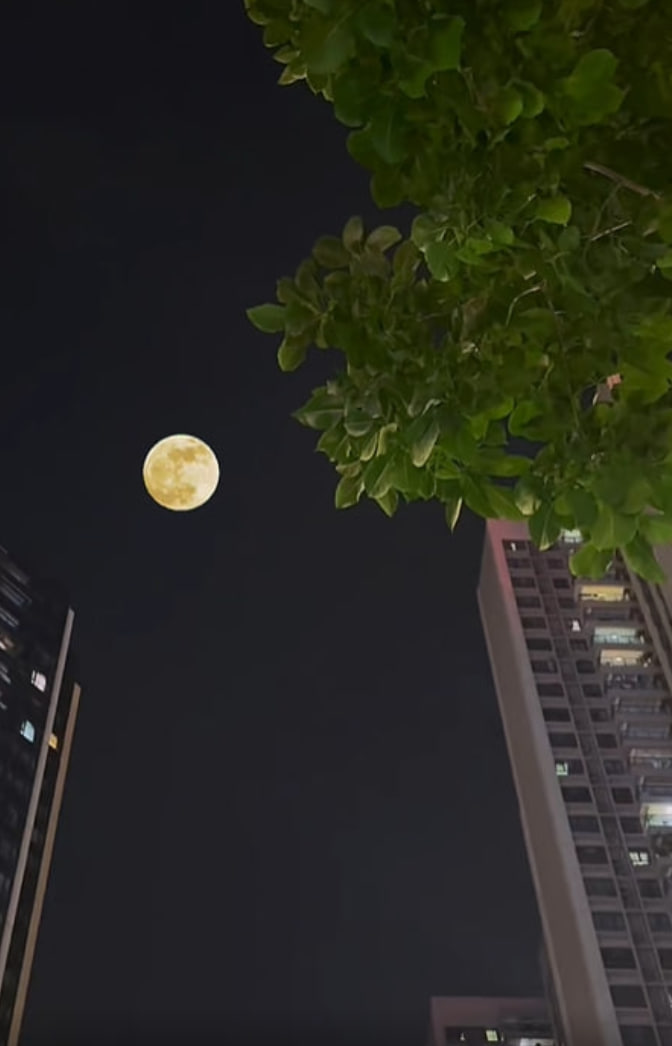 今夜の月はとても丸いです🌕
明日も素晴らしい一日になると信じています。
一緒に明日を楽しみにしましょう！おやすみ🌍