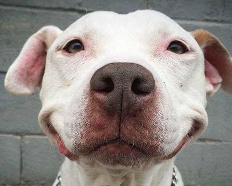 Stylecoc Out of Context tweet media