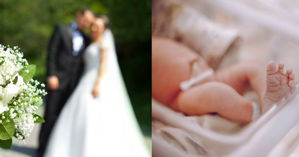 Mothership tweet media