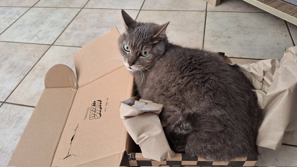 Mylène / Konala tweet media