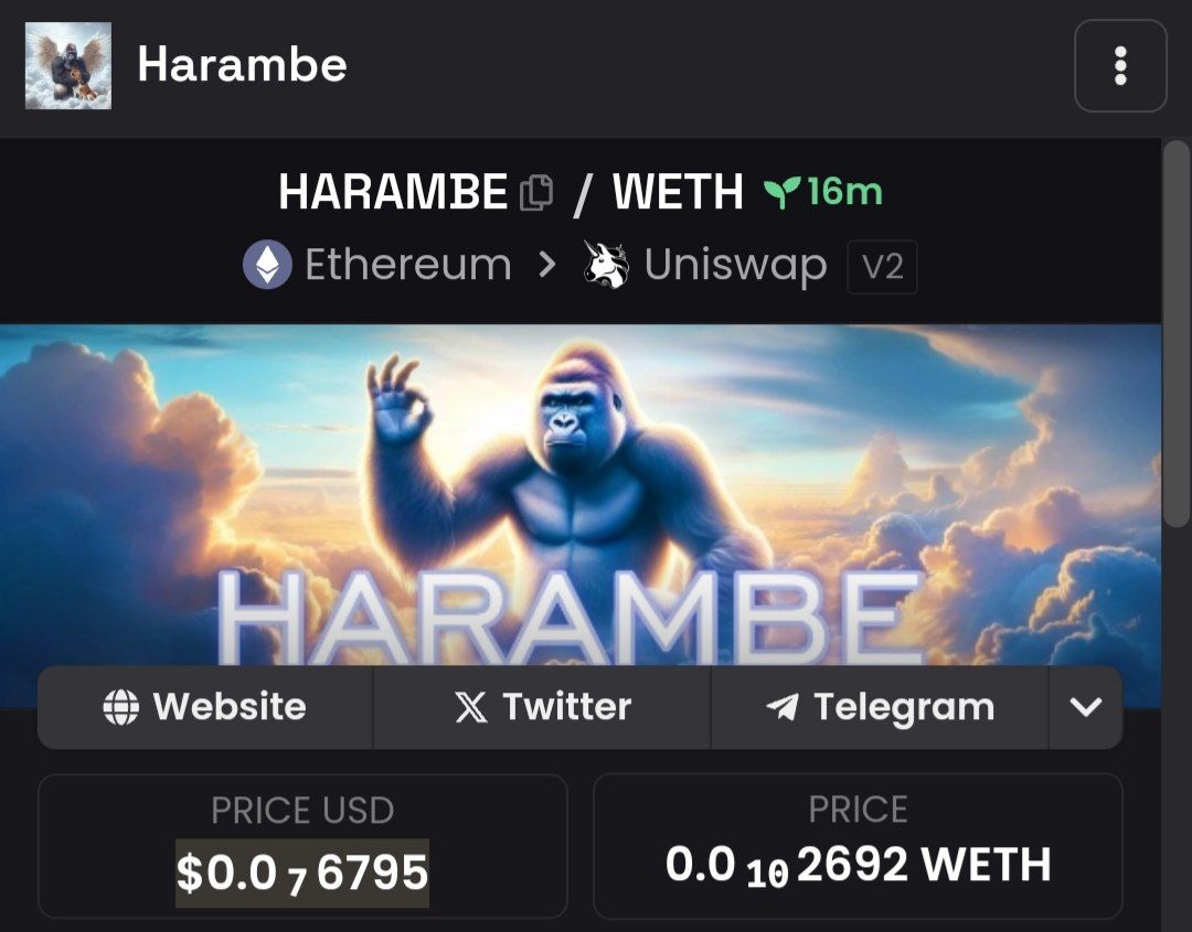 WeAreHARAMBE's tweet photo. @dexscreener has been updated.

$HARAMBE

https://t.co/qm9h6kCLeK https://t.co/2BfCt5kxcE