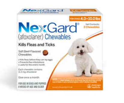 pfdealz's tweet image. NexGard for Dogs Chewables for $76.89

mavely.app.link/e/s9dY4R5m9Mb

#NexGard #Dogs #Chewables
