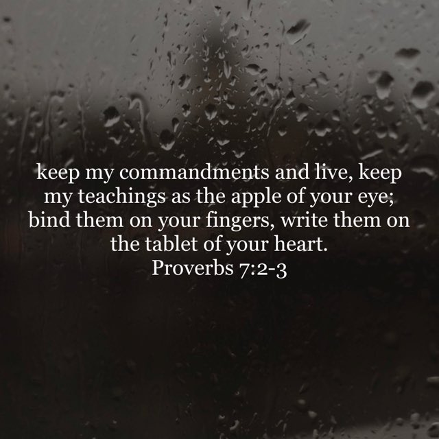 Glen Connoley (@glenconnoley) on Twitter photo 