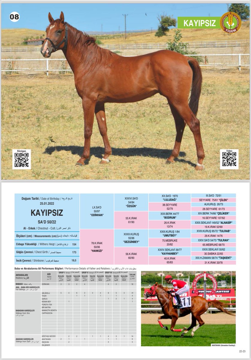 Ekürimize hayırlı uğurlu… 🧿 @YigitEkurisi <a href="/GMB_HORSES/">GMB EKÜRİSİ/BİRKAN BORA AKARSU</a> <a href="/nurunluyigit/">NUR ÜNLÜ YİĞİT</a>