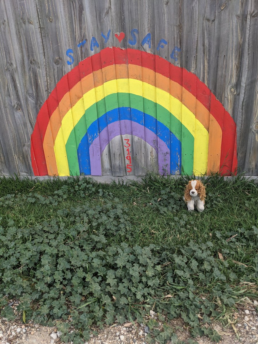 Milo (and Akira!) 🌈 love never ends ♥️ tweet media