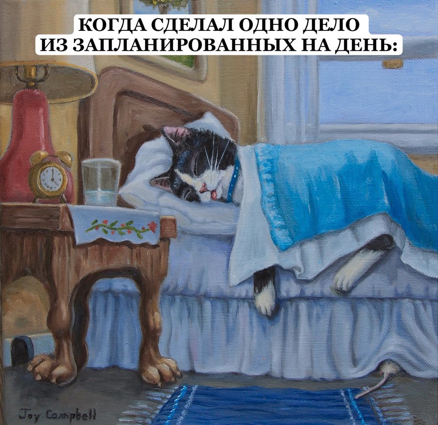 fy_plaksa tweet picture