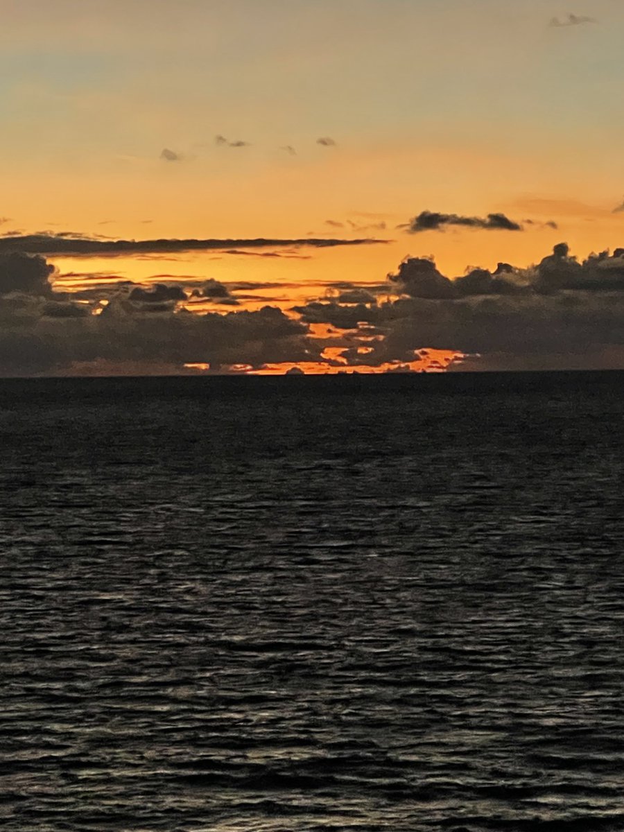 Mitch Rosen tweet media