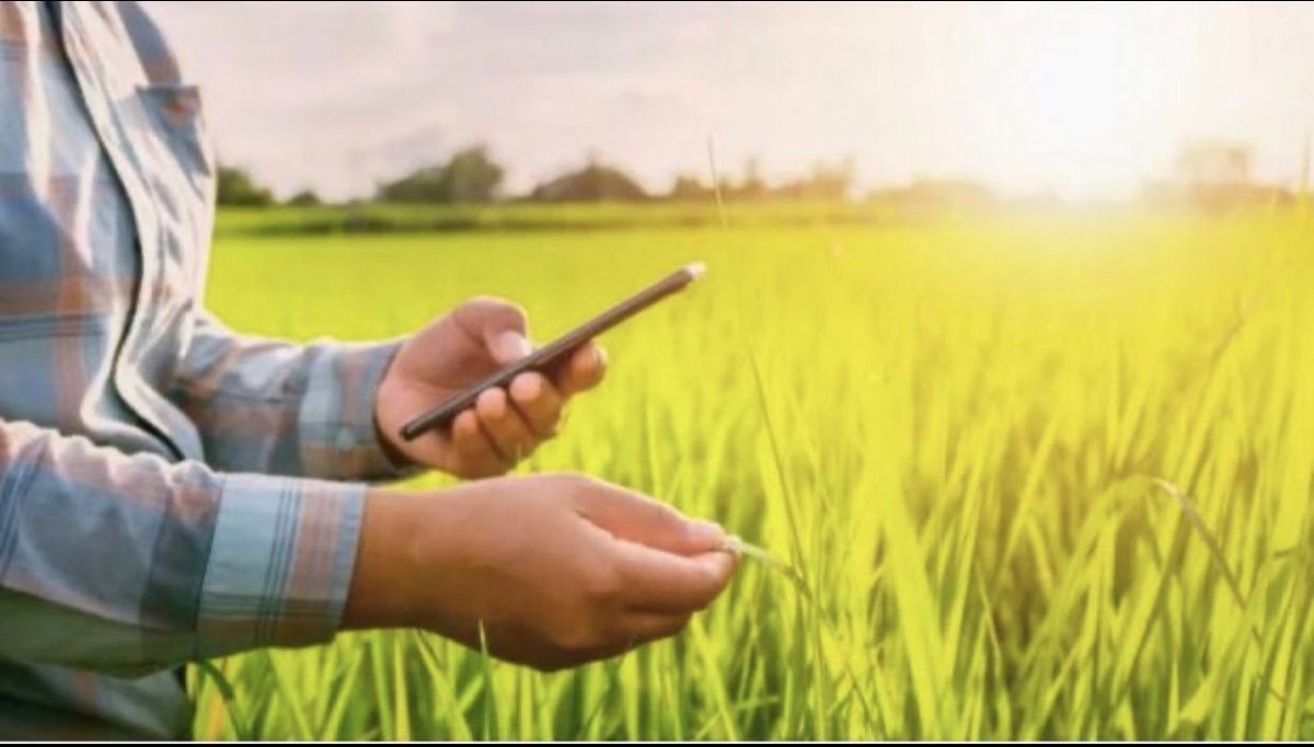 CgiarFarming's tweet photo. ๐พ๐ฃ Explore the #OpenLearningPortal!
The Open Learning Portal is your one-stop hub for agronomic training, brought to you by the CGIAR Excellence in Agronomy Initiative.
๐ Learn more: https://t.co/gAHYf7vtiu
๐โจAccess launch slides and video: https://t.co/Q2bk2rQX9p
#EiA https://t.co/9eQD5gQu2W