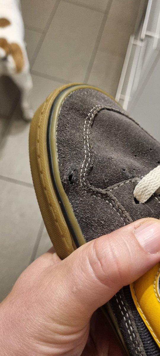 DaveKerrMusic's tweet photo. @VANS_Europe absolutely shocked by the your service! Always been a huge fan of the brand but, after only a few months, my trainers have developed a hole along the crease. I've been told it's wear and tear so not covered. After 3 months? Not happy! Won't be buying again 😢 https://t.co/cQfp1BfKp8