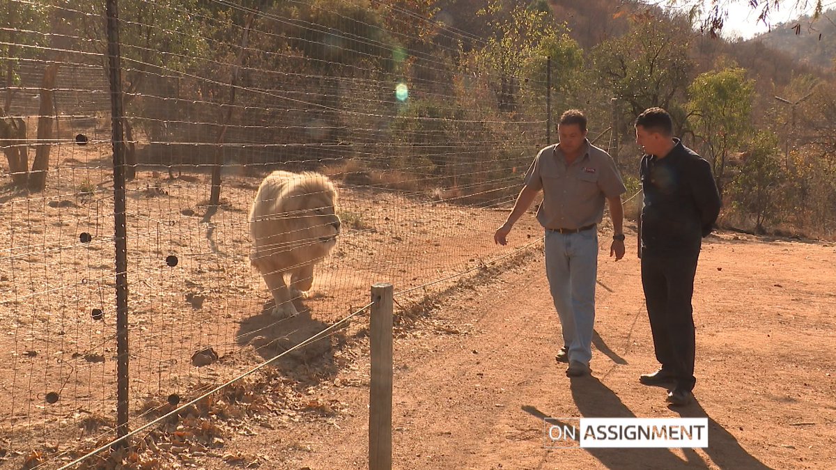 ITV On Assignment tweet media