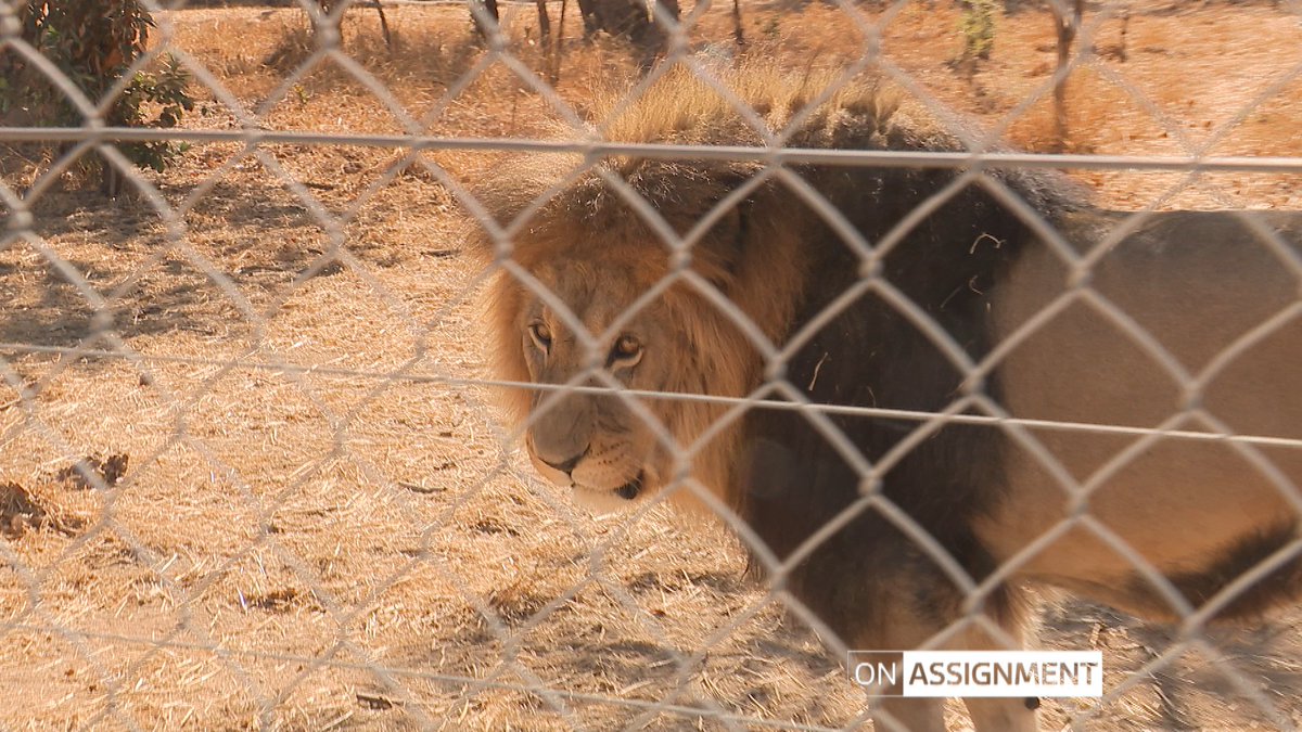 ITV On Assignment tweet media