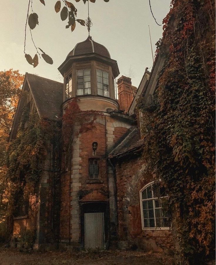 pamvonhadder's tweet photo. most wonderful time of the year 🍂 https://t.co/j0rRnHsWUL